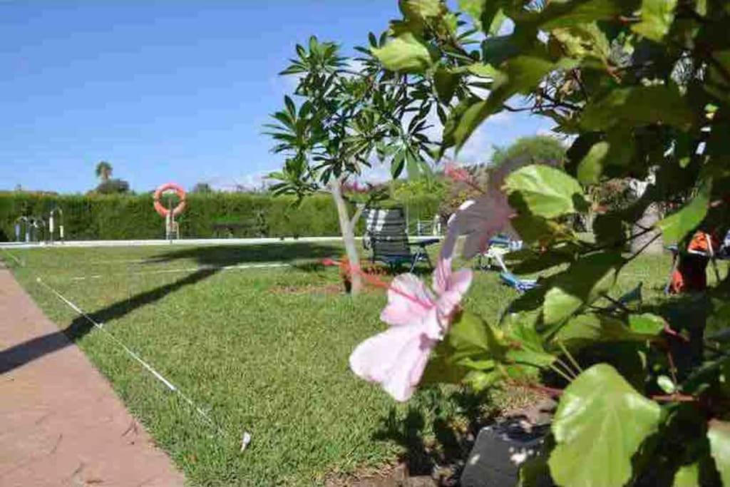 Apartamento Sol, Benajarafe Buitenkant foto